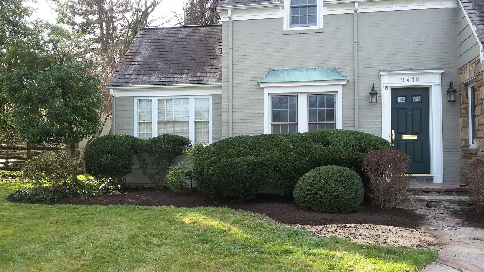 Manicured front lawn and trimmed shrubs in Bethesda
