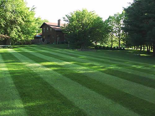 Freshly striped lawn in Silver Spring