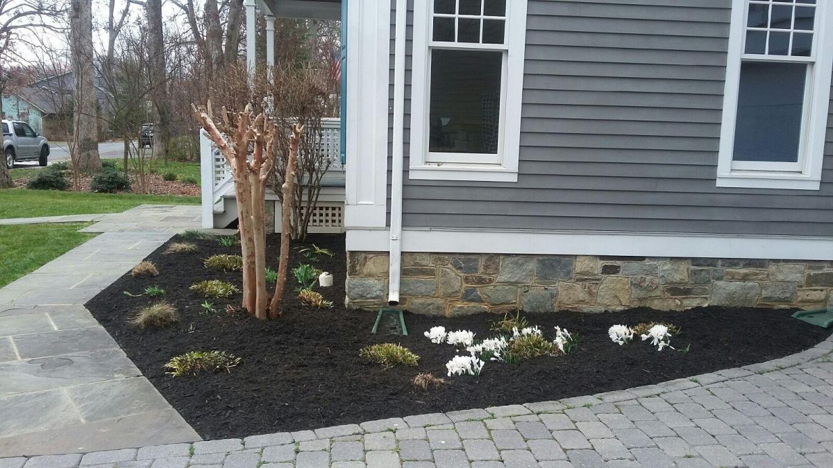 Gallery Green Season Landscaping